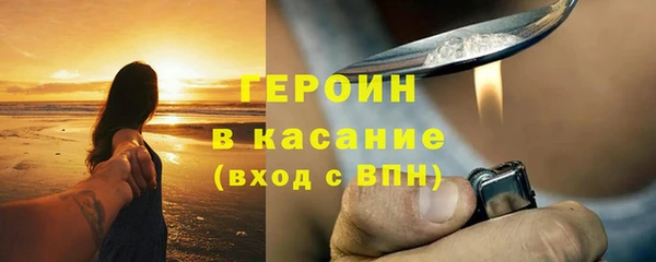 гидра Богородск