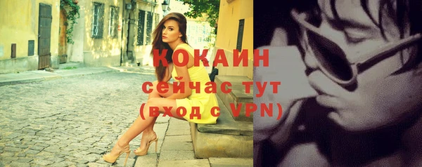 дмт Данков