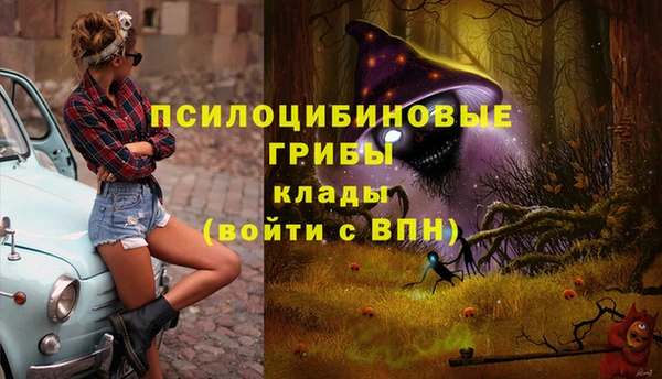 альфа пвп Богородицк