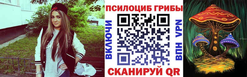 Псилоцибиновые грибы прущие грибы  где найти наркотики  Кологрив 